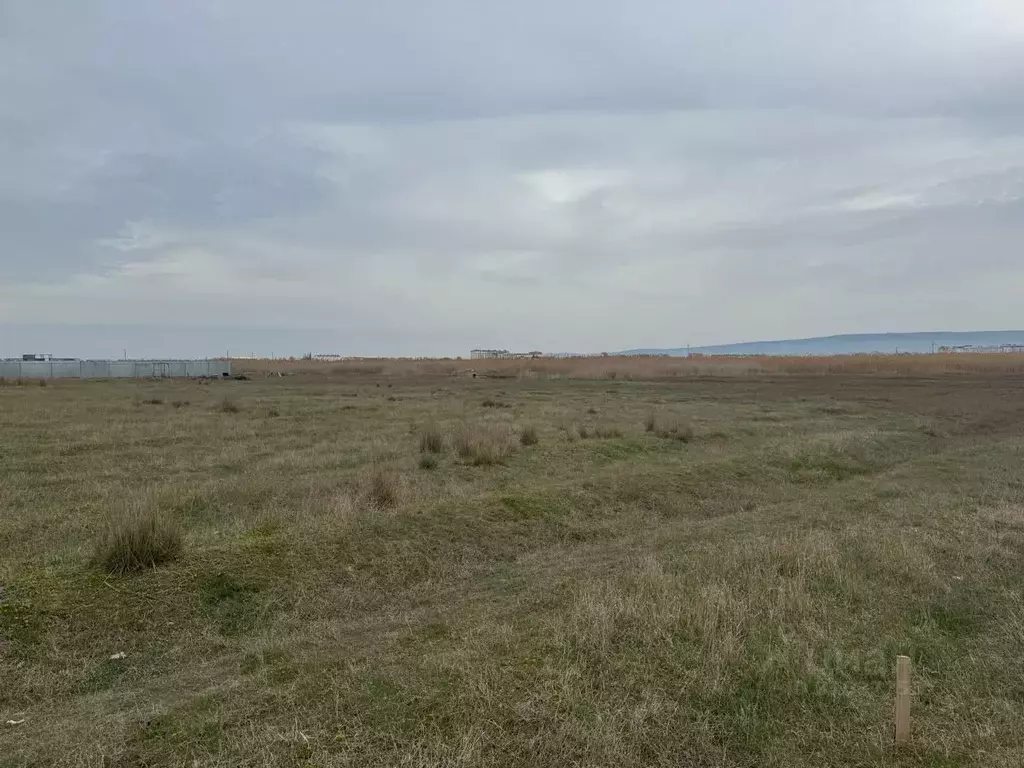 Участок в Крым, Феодосия муниципальный округ, с. Береговое  (10.0 ... - Фото 0