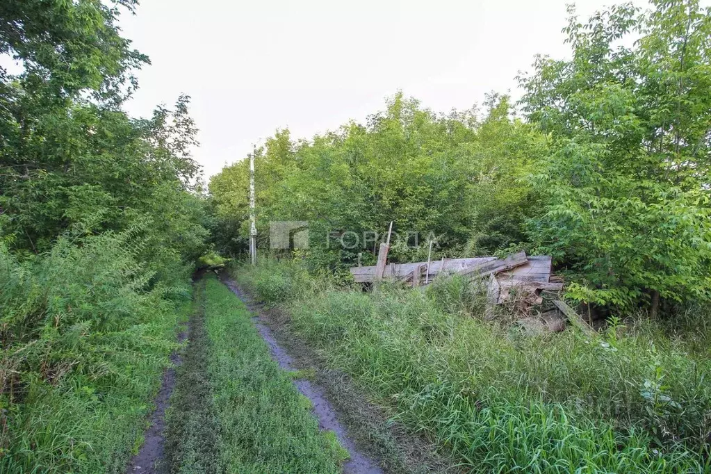 Участок в Алтайский край, Барнаул городской округ, пос. Бельмесево ул. ... - Фото 0