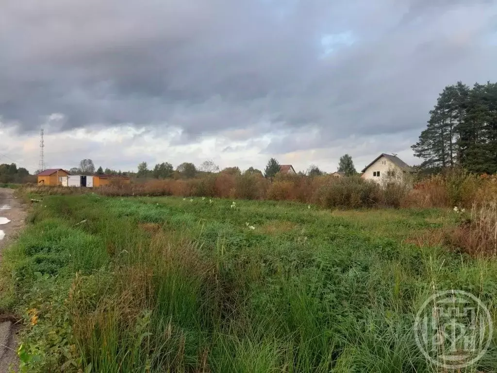 Участок в Ленинградская область, Приозерский район, Ларионовское ... - Фото 1