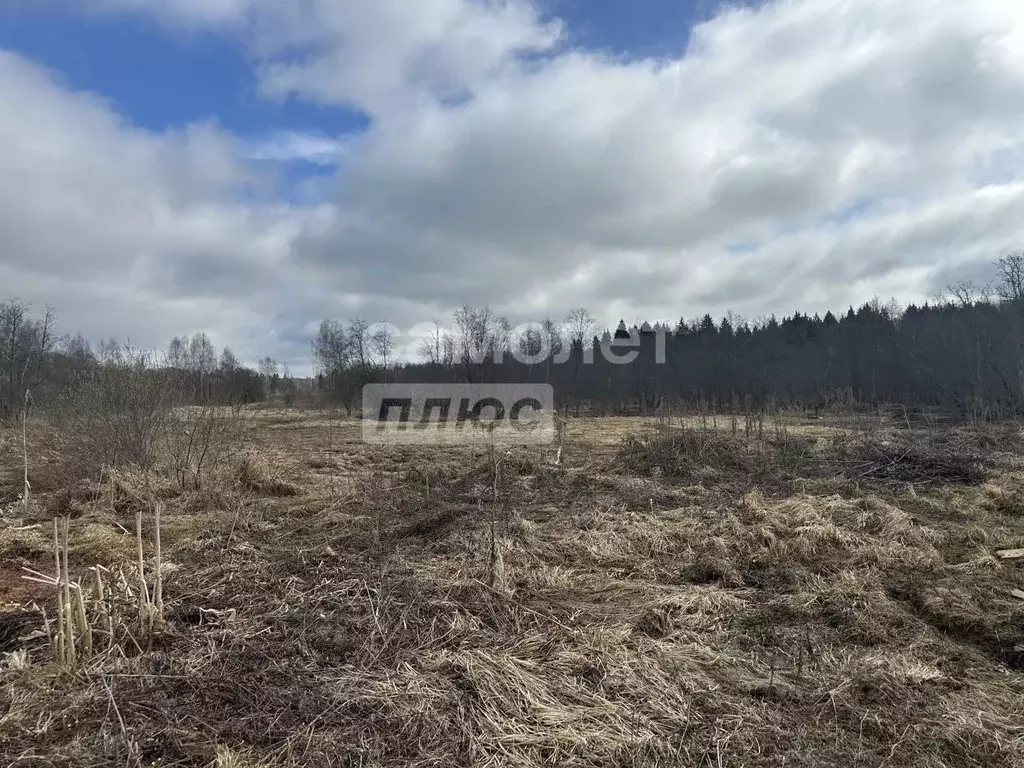 Участок в Московская область, Солнечногорск городской округ, Радумля ... - Фото 1
