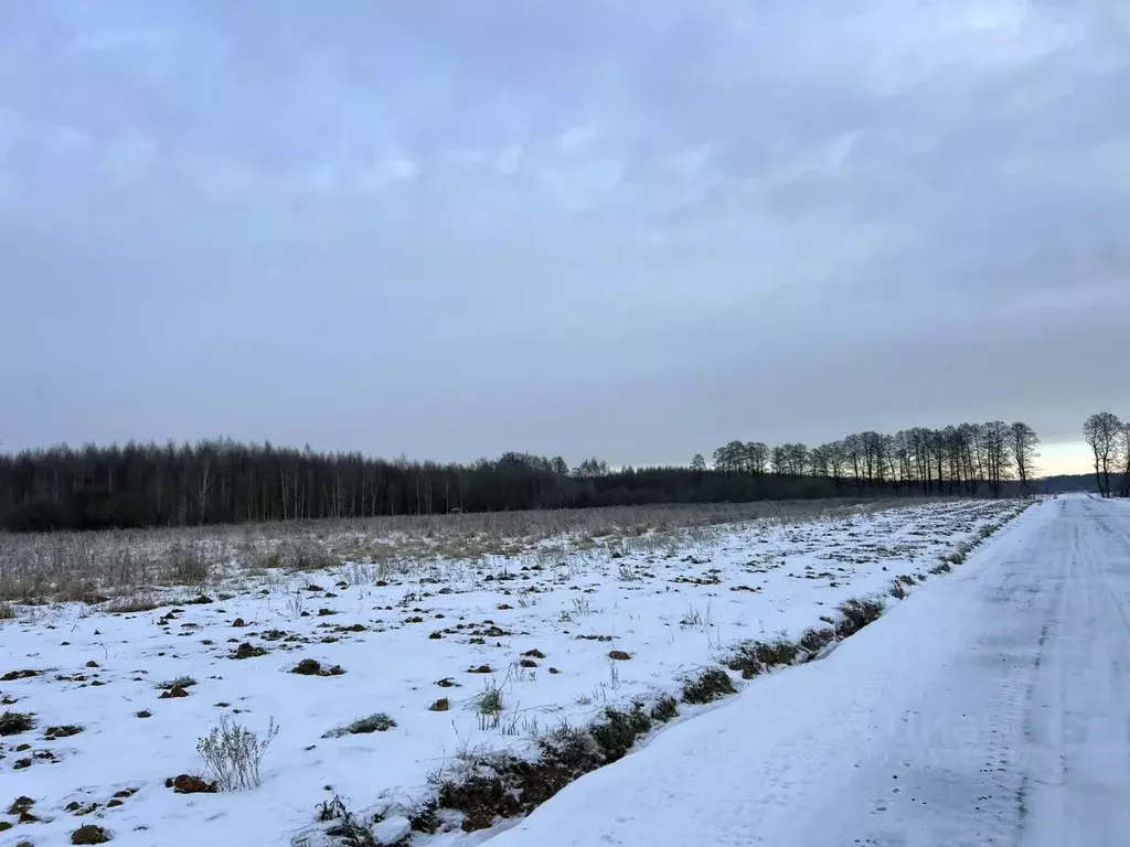 Участок в Московская область, Раменский муниципальный округ, Оттепель ... - Фото 0