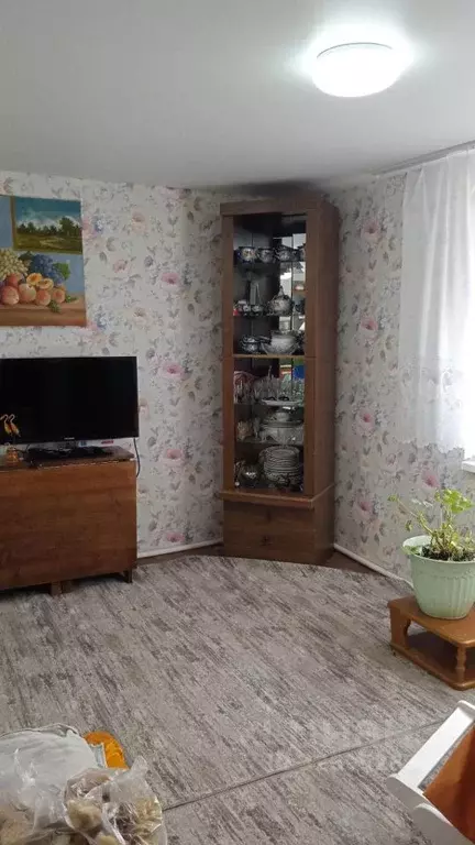 Дом в Татарстан, Нижнекамский район, Шереметьевское с/пос, с. ... - Фото 2