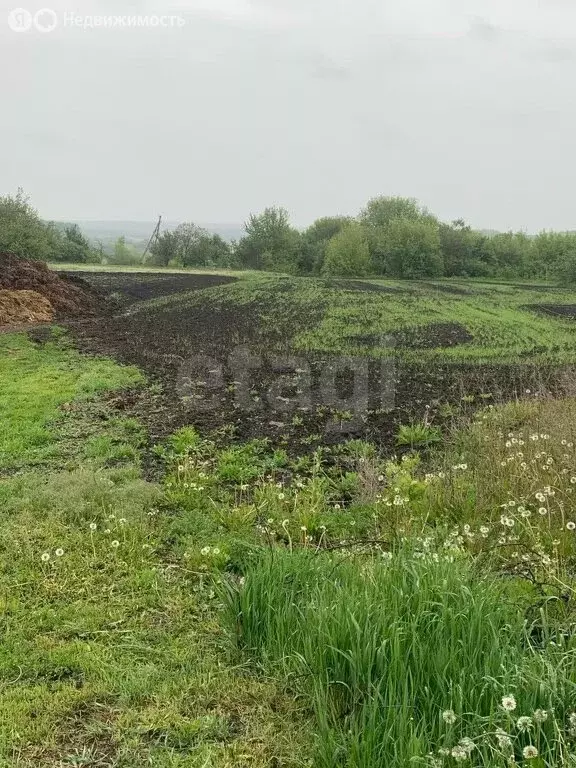 Участок в Большие Липяги, улица Мира (36.6 м) - Фото 1