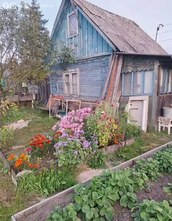 Дом в Ярославский муниципальный округ, СНТ Восход, квартал 5, линия 4 ... - Фото 2