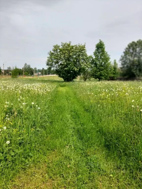 Дом в Тверская область, Кесова Гора пгт ул. Ленинградская (76 м) - Фото 0