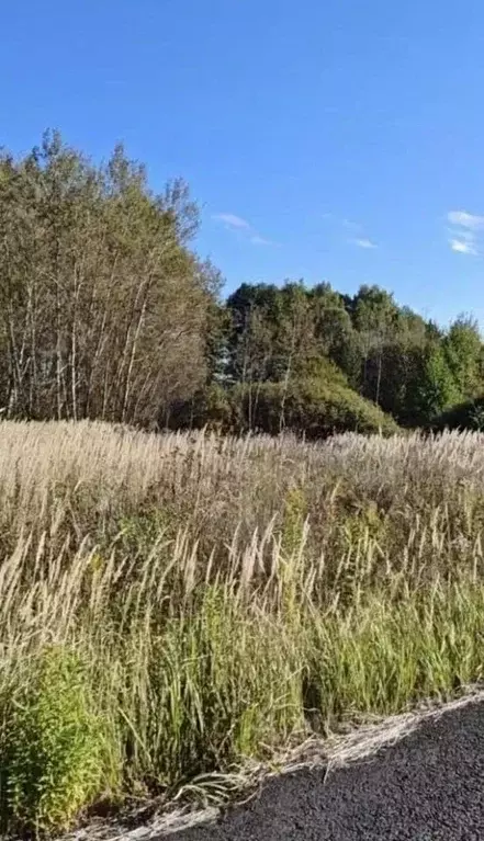 Участок в Московская область, Раменский муниципальный округ, ... - Фото 1