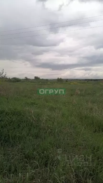 Участок в Пензенская область, Шемышейский район, Старояксарский ... - Фото 2