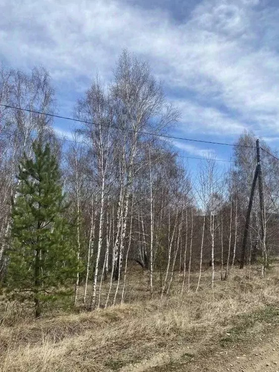 Участок в Иркутская область, Нижнеудинский район, Атагайское ... - Фото 1