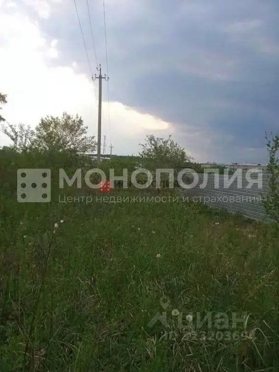 Участок в Амурская область, Серышевский муниципальный округ, с. ... - Фото 2