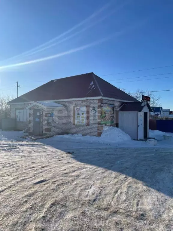 Торговая площадь в Ульяновская область, Чердаклы рп ул. Южная, 61 (146 ... - Фото 1