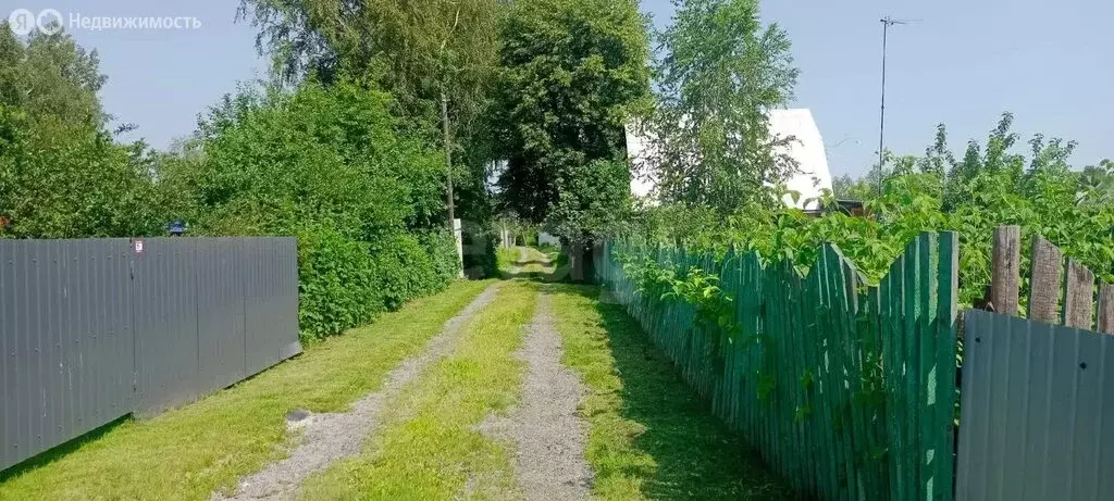 Дом в Тюмень, СНТ Пчёлка, Северная улица (55 м) - Фото 1
