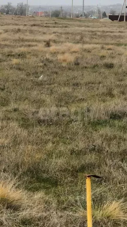 Участок в Калмыкия, Целинный район, с. Троицкое ул. Сар-Герел, 28 (6.0 ... - Фото 2