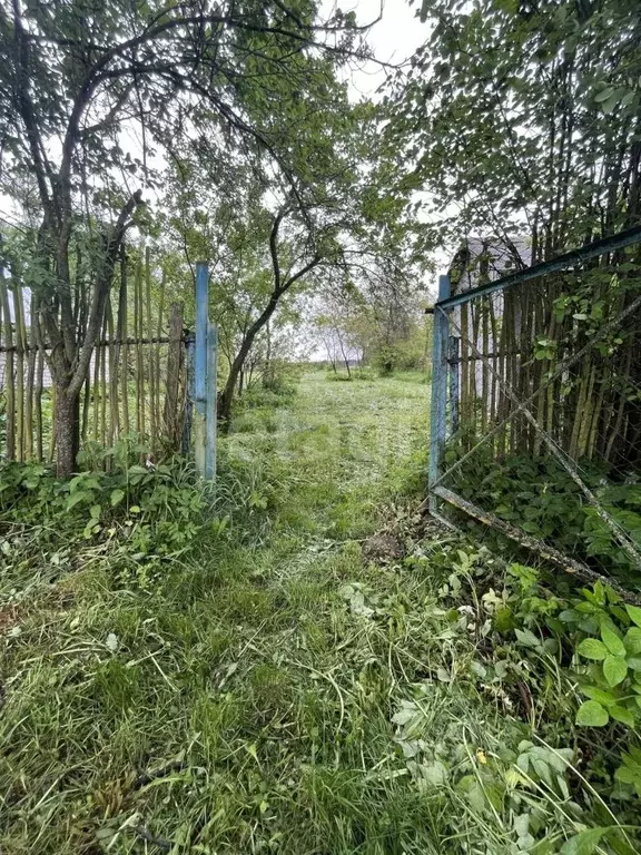 Участок в Калужская область, Дзержинский район, Дворцы с/пос, д. ... - Фото 2
