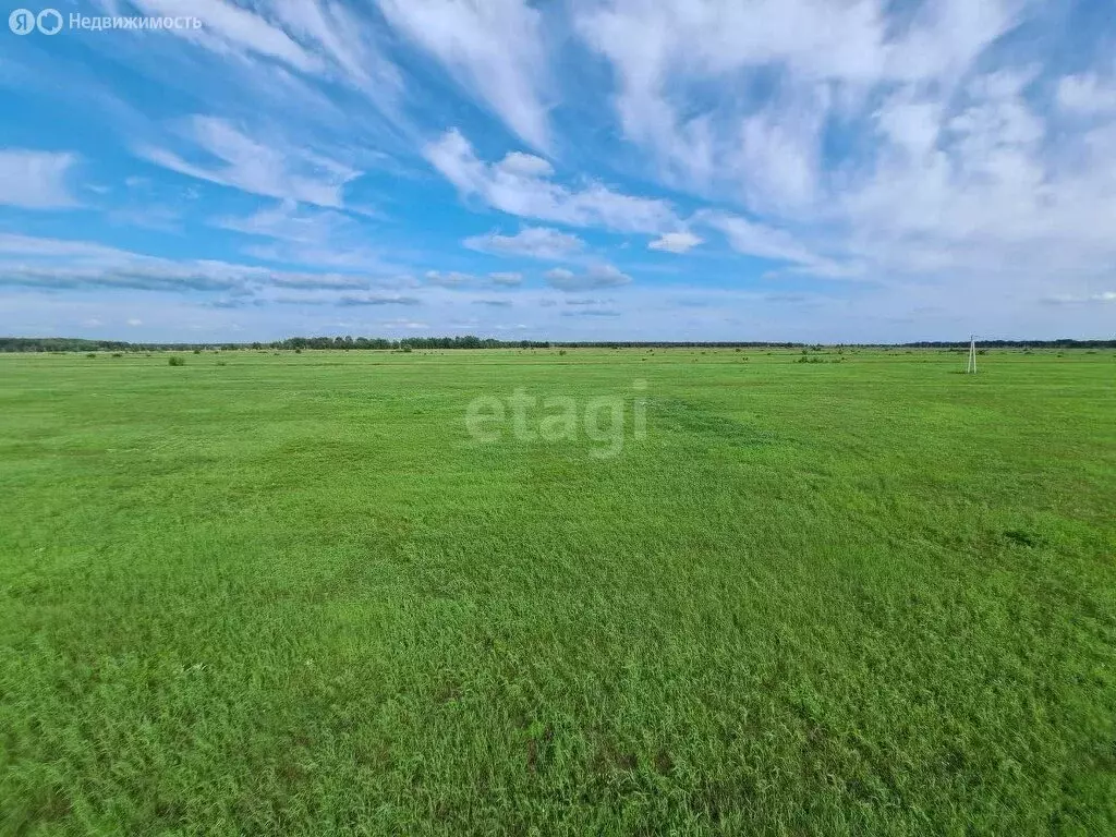 Участок в село Красноярка, улица Мира (1800 м) - Фото 0