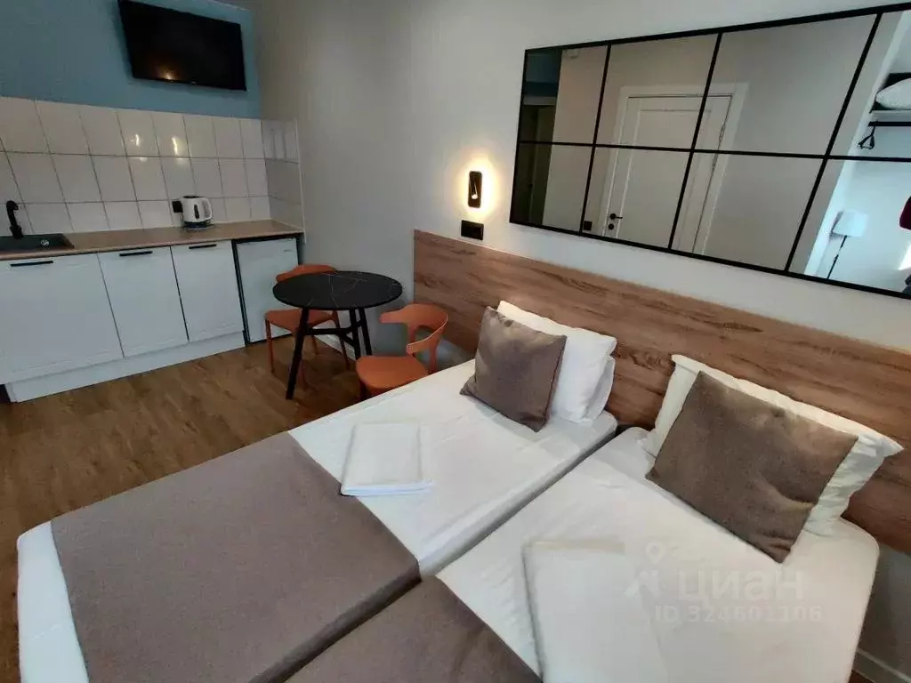 1-к кв. Челябинская область, Челябинск ул. Свободы, 108А (23.0 м) - Фото 1