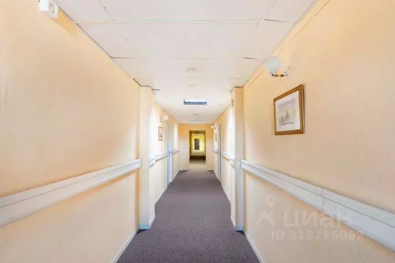 Офис в Санкт-Петербург пл. Конституции, 2 (24 м) - Фото 1