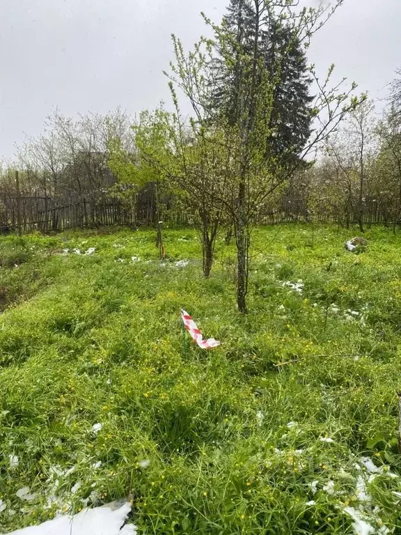 Участок в Московская область, Истра городской округ, с. Петровское  ... - Фото 1