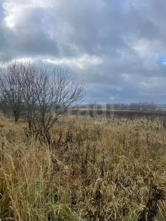 Участок в Болохово, Болохово, улица Строителей (12 м) - Фото 2