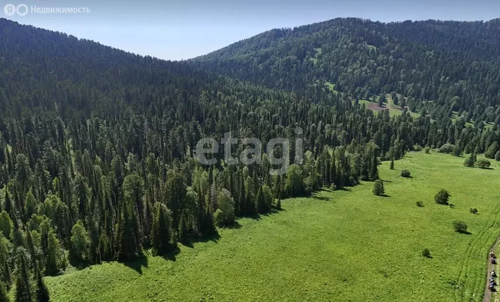 Участок в Чемальский район, Чемальский тракт (92.3 м) - Фото 2