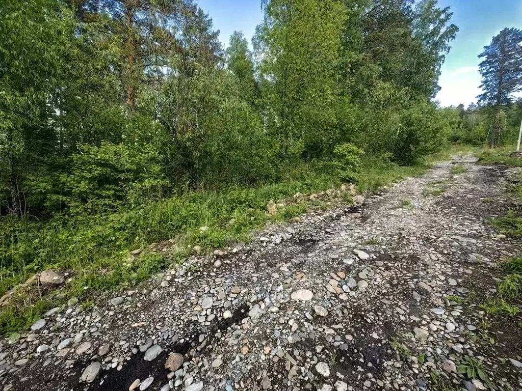 Участок в Алтай, Майминский район, Манжерокское с/пос, с. Озерное ул. ... - Фото 2