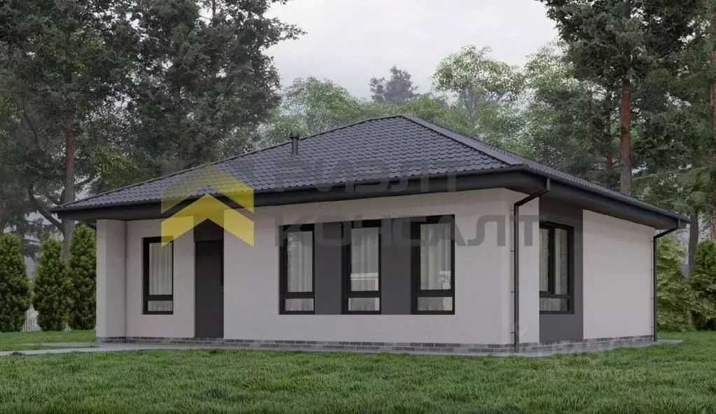 Дом в Омская область, Омский район муниципальный округ, с. Пушкино ул. ... - Фото 1