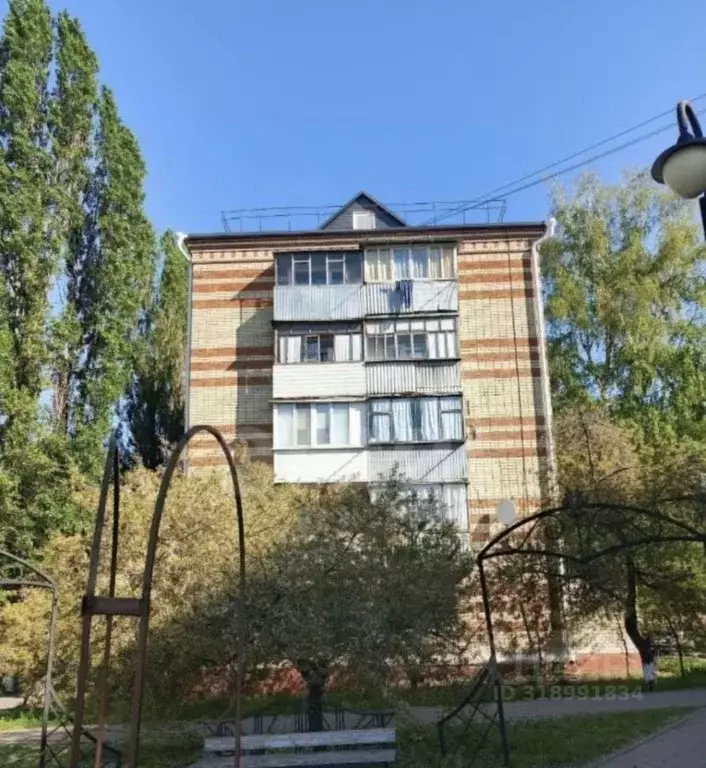 2-к кв. Белгородская область, Белгород ул. Щорса, 37 (45.0 м) - Фото 0