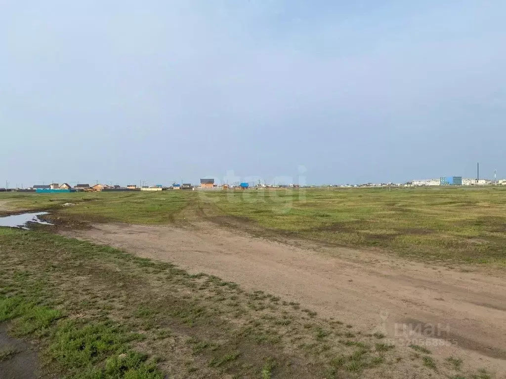 Участок в Саха (Якутия), Якутск городской округ, с. Хатассы  (150.0 ... - Фото 2