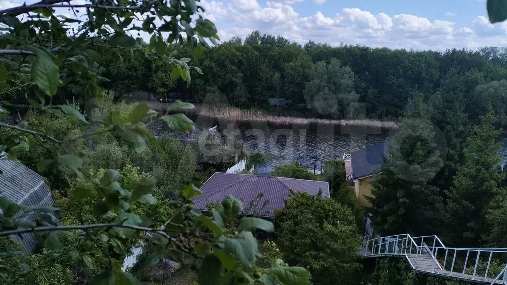 Участок 6 сот. (СНТ, ДНП) - Фото 1