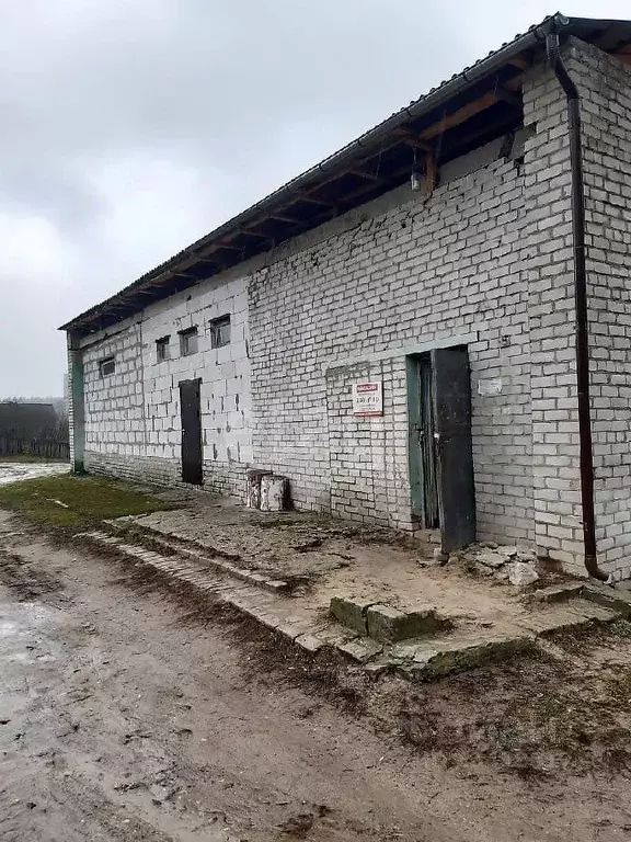 Помещение свободного назначения в Брянская область, Суземский район, ... - Фото 0