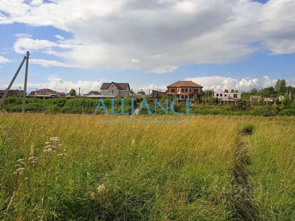 Центральная 10 ивняки ярославль. Ивняковское поселение. Ивняковское поселение. Кп семейный ярославль. День победы концерт ивняковское сельское поселение.