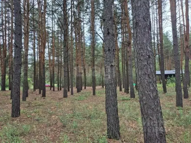 Участок в Тамбовская область, Тамбовский муниципальный округ, с. ... - Фото 1