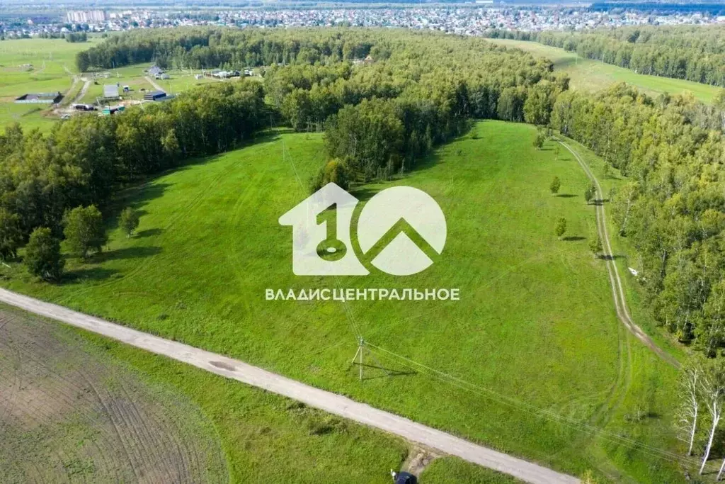 Участок в Новосибирская область, Новосибирский район, Морской ... - Фото 0