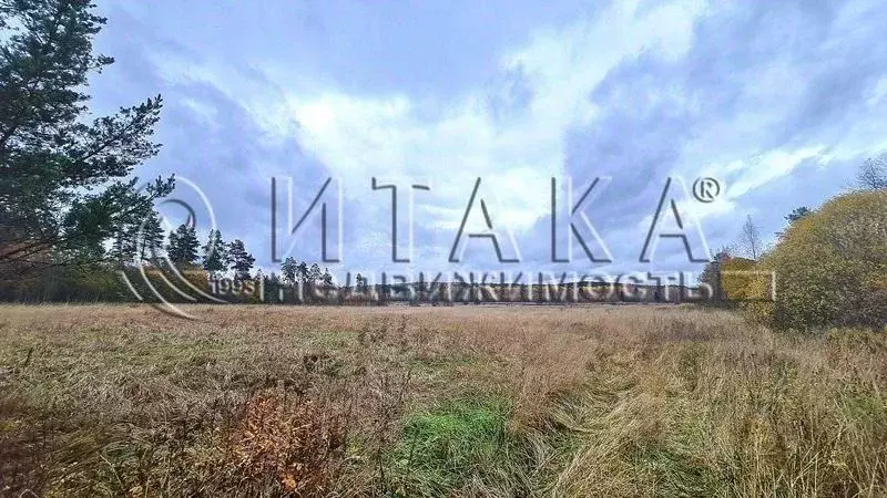 Участок в Ленинградская область, Выборгский район, Светогорское ... - Фото 1