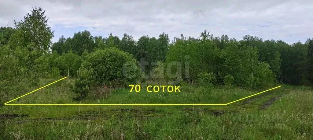 Участок в Красноярский край, Большемуртинско-Сухобузимский ... - Фото 1