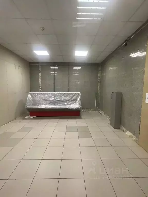 Помещение свободного назначения в Ставропольский край, Ставрополь ул. ... - Фото 1