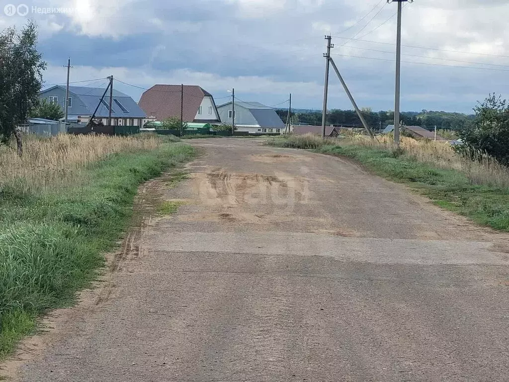 Участок в Ульяновская область, Старомайнский муниципальный округ, село ... - Фото 1