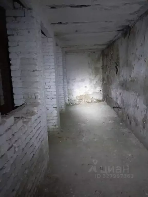 Помещение свободного назначения в Брянская область, Брянск ... - Фото 1