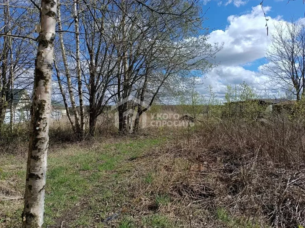 Участок в Ленинградская область, Приозерский район, Красноозерное ... - Фото 0