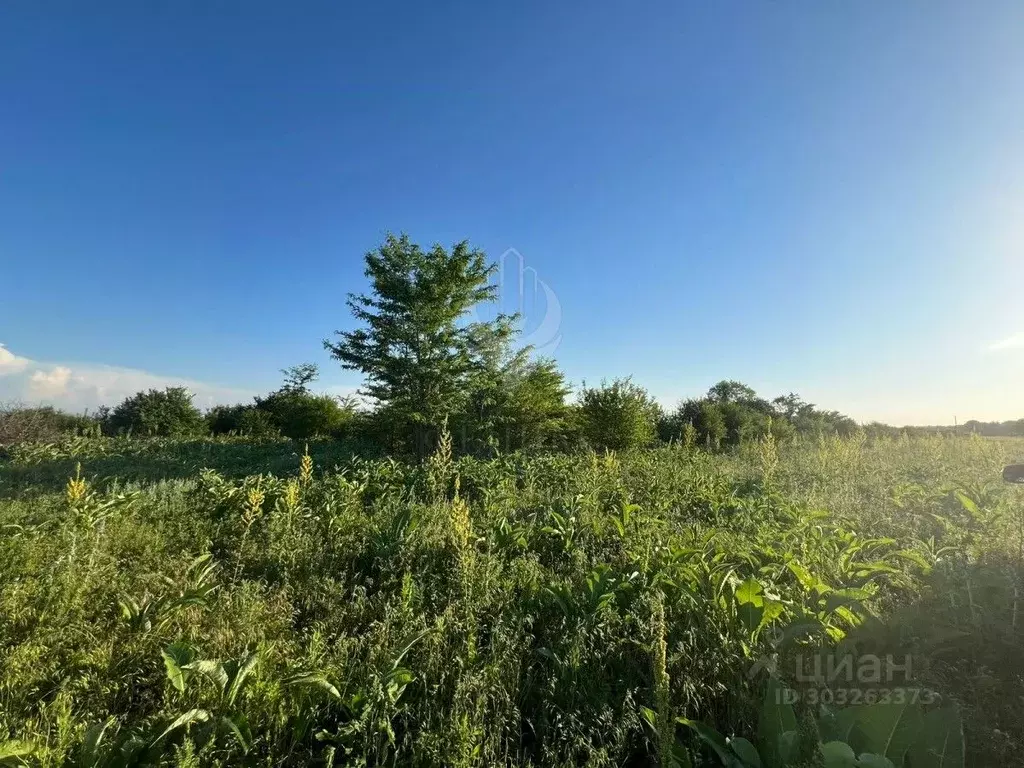 Участок в Чеченская республика, Грозный  (6.0 сот.) - Фото 0