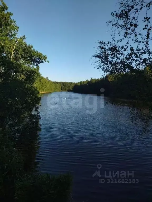 Дом в Калужская область, Боровский муниципальный округ, Совьяки с/пос, ... - Фото 1