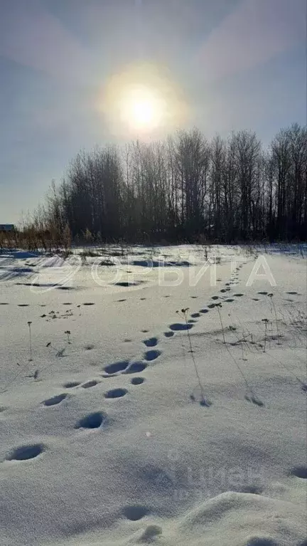 Участок в Тюменская область, Тюменский район, д. Марай  (9.9 сот.) - Фото 1