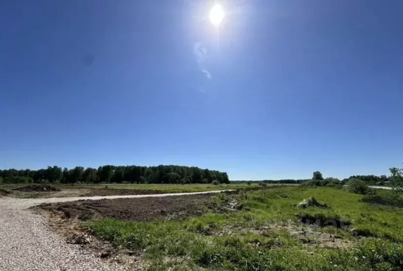 Участок в Московская область, Чехов городской округ, д. Жальское  (6.0 ... - Фото 0