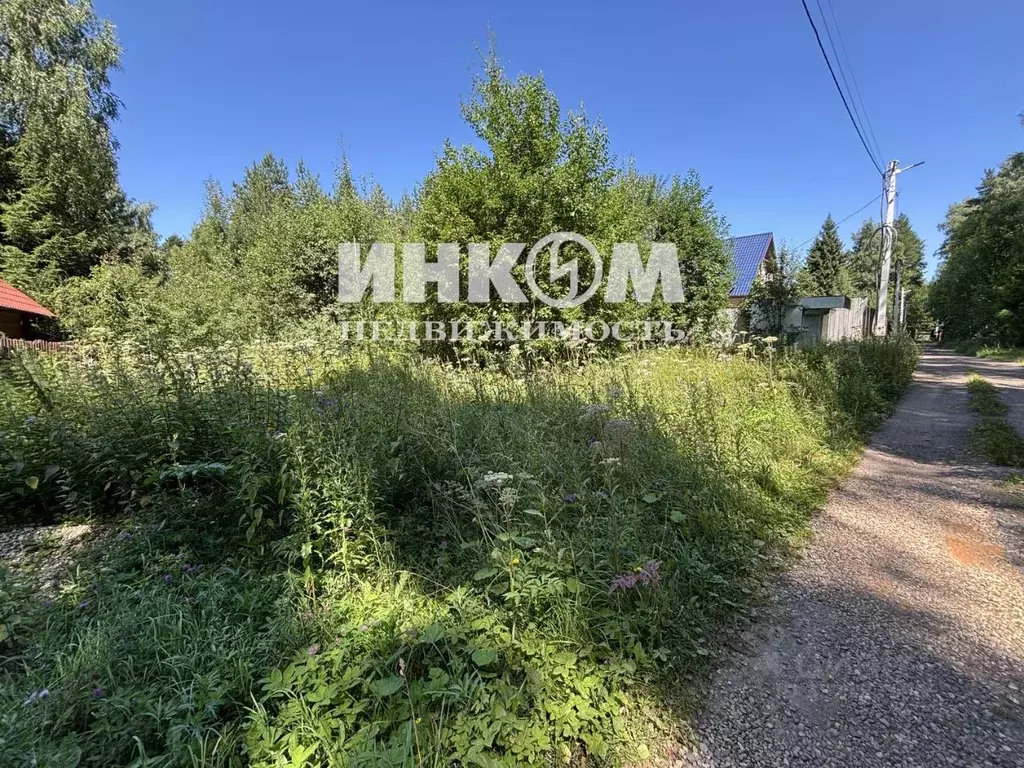 Участок в Московская область, Богородский городской округ, Русичи СНТ ... - Фото 2