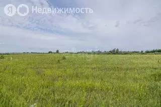 Участок в Тюмень (12.2 м) - Фото 1