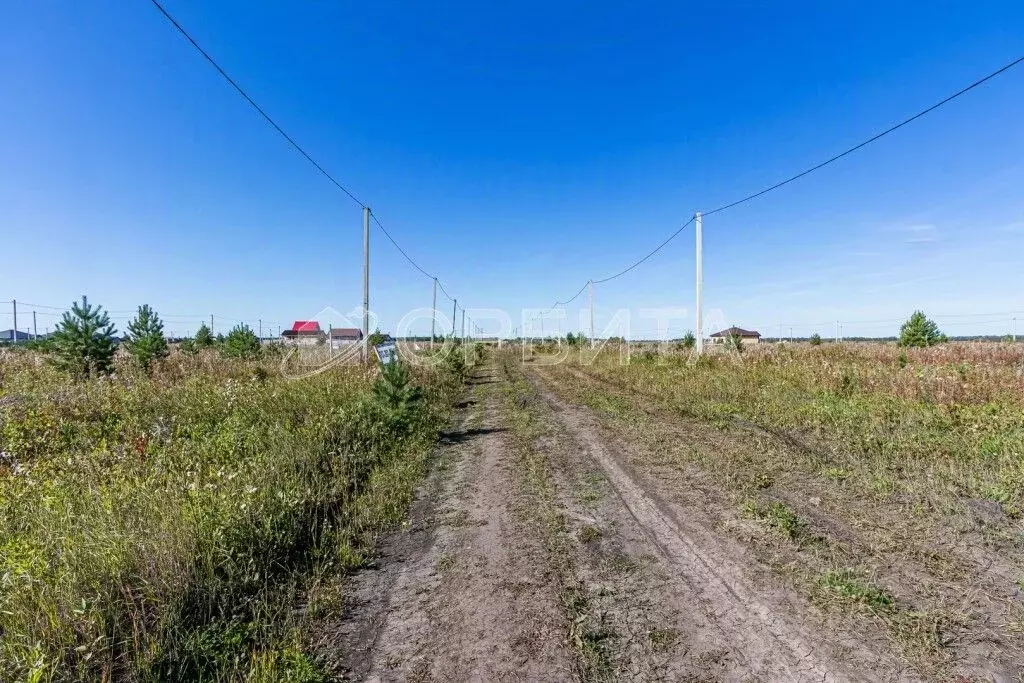 Участок в Тюменская область, Нижнетавдинский район, Сочинские СНТ  ... - Фото 0