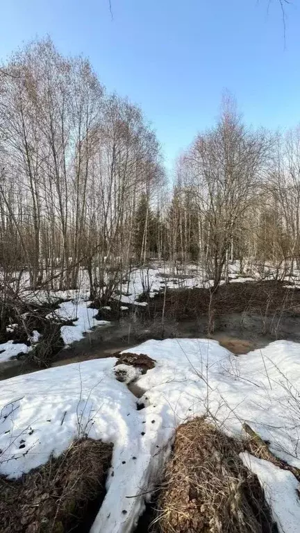 Участок в Вологодская область, д. Мальгино (Подлесный сельсовет)  ... - Фото 2
