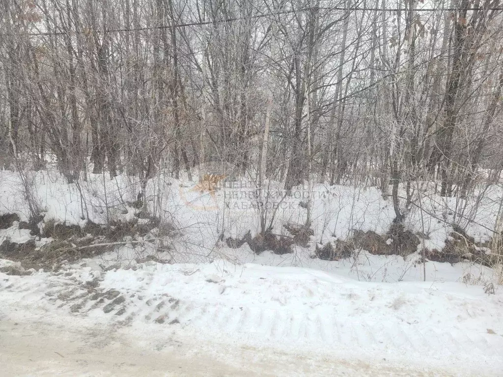 Участок в Хабаровский край, Хабаровский район, с. Восточное ул. ... - Фото 1
