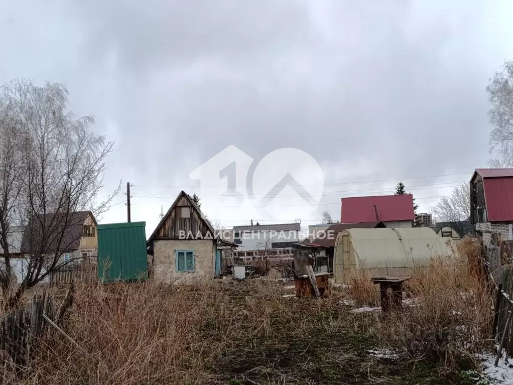 Участок в Новосибирская область, Новосибирск Радуга садовое ... - Фото 0