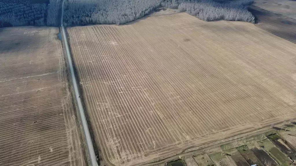 Участок в Челябинская область, Аргаяшский муниципальный округ  (99.0 ... - Фото 2