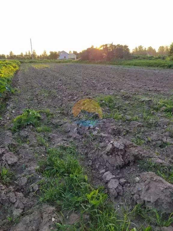 Участок в Тверская область, Конаковский муниципальный округ, с. ... - Фото 1